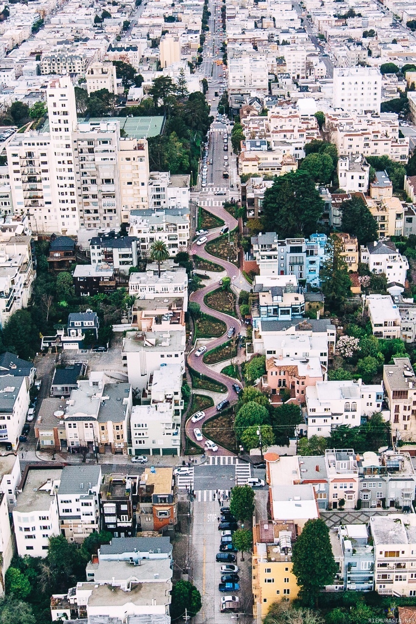 lombard-street-san-francisco