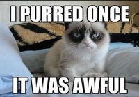 I purred once..