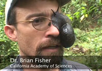 Dr. Brian Fisher