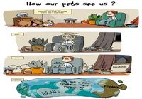 How pets see us