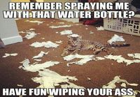 Remember spraying me with that water bottle?