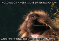 Holding on to anger is like drinking poison