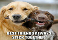 Stick together