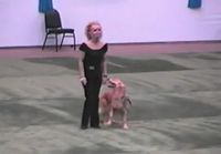 Naisen ja koiran tanssiesitys