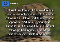 you´re such a cheeta