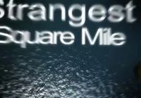 The sea´s strangest square mile