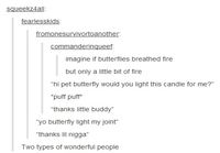 Butterflies