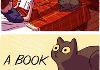 Kissa ja kirja