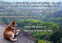 Power of barking