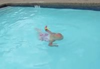 Vauva ui altaassa