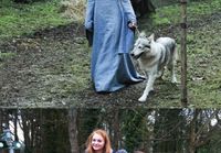 Sansa adoptoi koiran