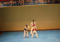 Taekwondo tanssi