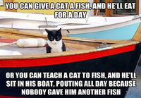 Give cat a fish