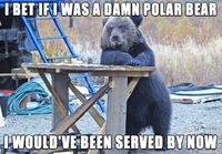 Karhu odottaa palvelua