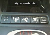 My car needs this