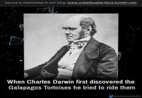 Charles Darwin nähdessään galapagoksen kilpikonnan ensimmäistä kertaa