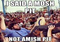 Amish pit