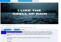 Smell of rain