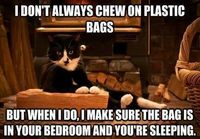 I don´t always chew plastic bags