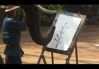 Norsu maalaa taulun