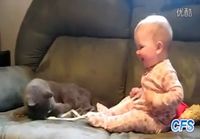 Kissat tykkää vauvoista