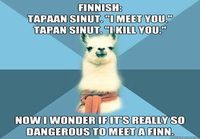 Suomen kieli