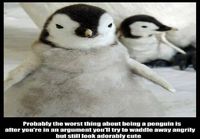 Pingviininä olemisen huonot puolet