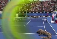 Australialaista tennistä