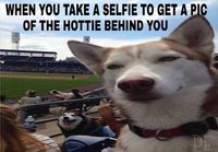 Koiran selfie