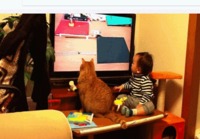 Kissa ja lapsi ihmettelee videota
