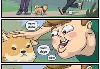 Doge meemeistä pitävä tapaa koiran