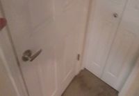 Kissa osaa avata ovia