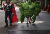 Hulk ja Thor