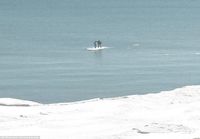 Teinipojat ajelehtimassa jäälautan päällä lake michiganilla