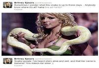 Britney ja käärme