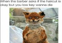 Kun parturi kysyy onko leikattu tukka mieluinen