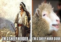 Sheep herder