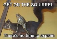 Get on the squirrel
