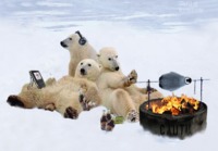 Jääkarhut chillaamassa