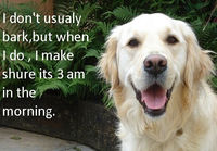 I don´t usually bark..