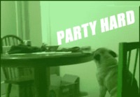 Party hard!!
