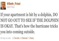 If your apartment gets hit by a dolphin