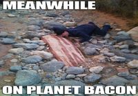 Meanwhile on planet bacon