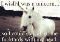 I wish I was a unicorn