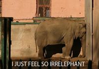irrelephant elephant
