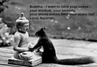 Dear Buddha