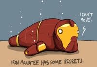 Iron manatee has some regrets