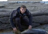 Seal vs. Grylls