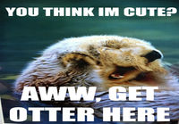 Otter