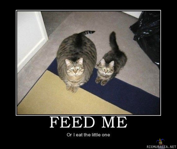 Feed me!